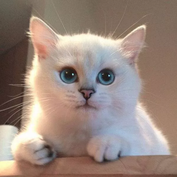 Picdump 21 - #4 