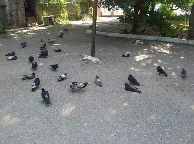 Picdump 21 - #49 