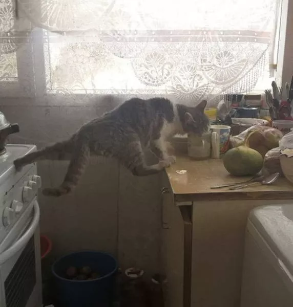 Picdump 21 - #50 
