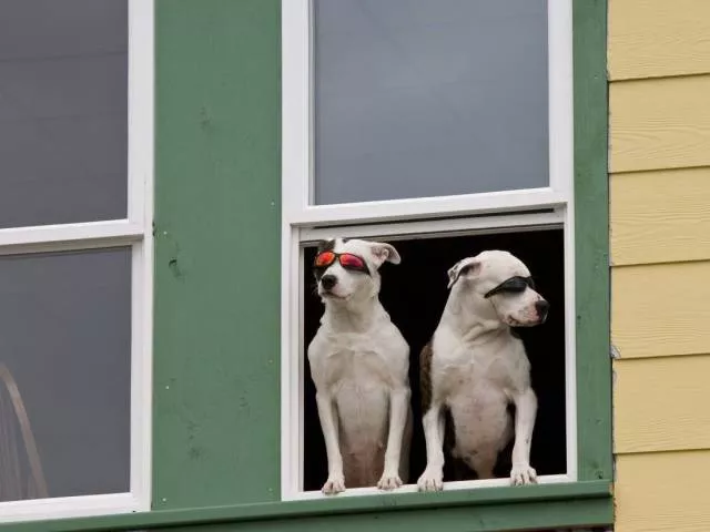 Picdump 21 - #9 