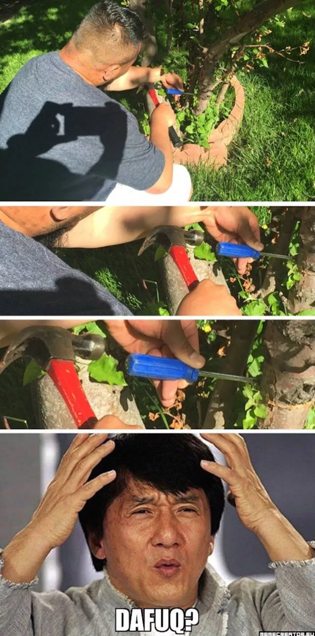 Here the only question is wtf - #2 