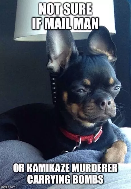 Picdump 157 - #2 