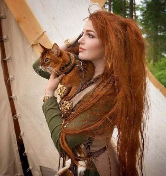 The 40 best photos on the internet - #1 