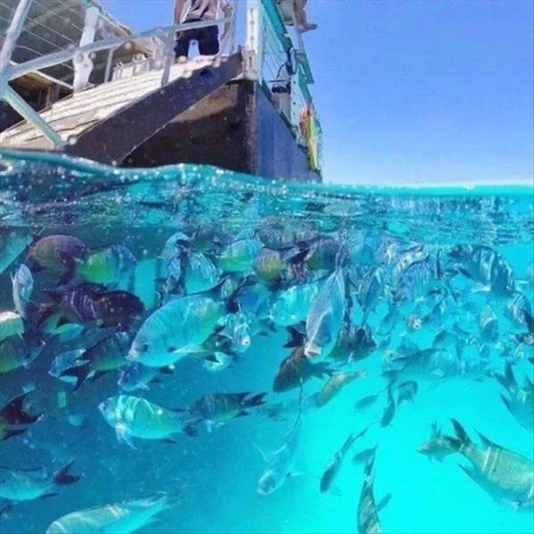 The 40 best photos on the internet - #15 