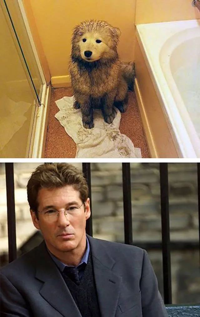 Les 40 meilleures photos sur internet - #18 