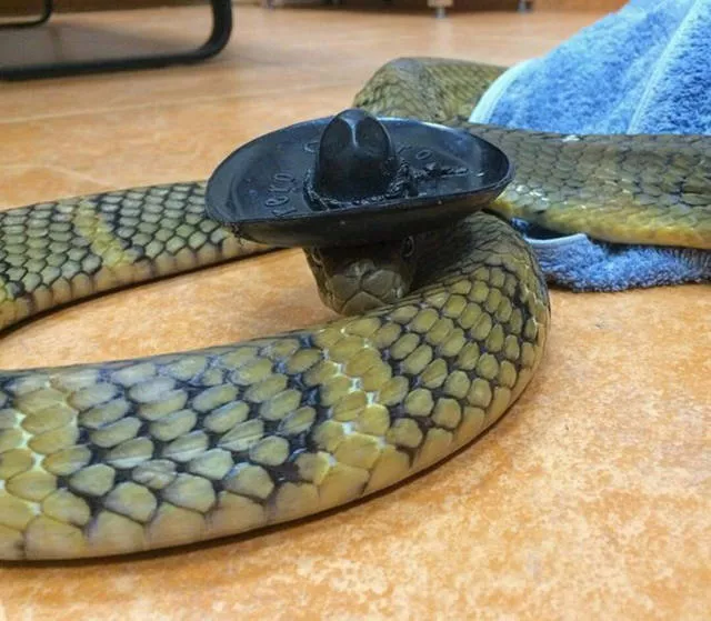 The 40 best photos on the internet - #20 