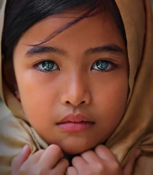 Les 40 meilleures photos sur internet - #28 