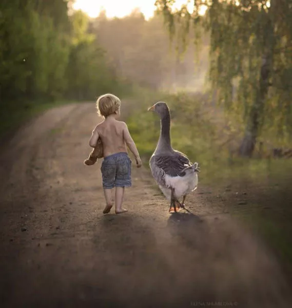 Les 40 meilleures photos sur internet - #3 