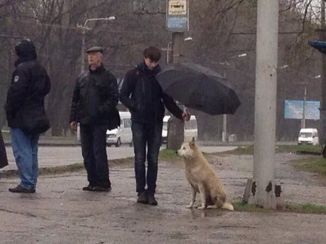 The 40 best photos on the internet - #32 