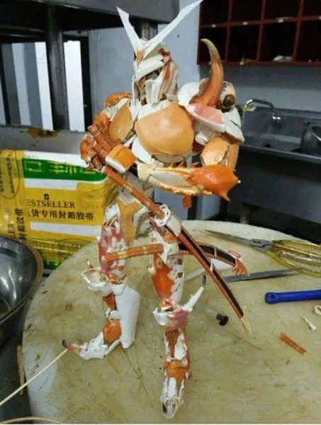 The 40 best photos on the internet - #33 