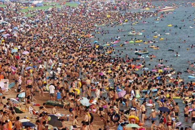 The 40 best photos on the internet - #40 