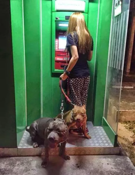 Picdump 158 - #1 