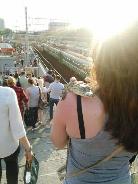 Picdump 158 - #30 