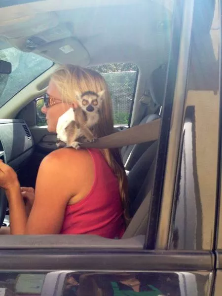 Picdump 158 - #34 