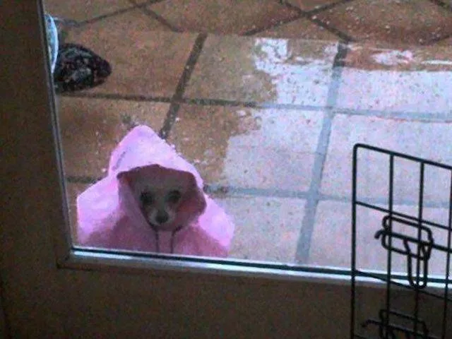 Picdump 158 - #40 