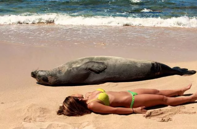 Picdump 22 - #22 