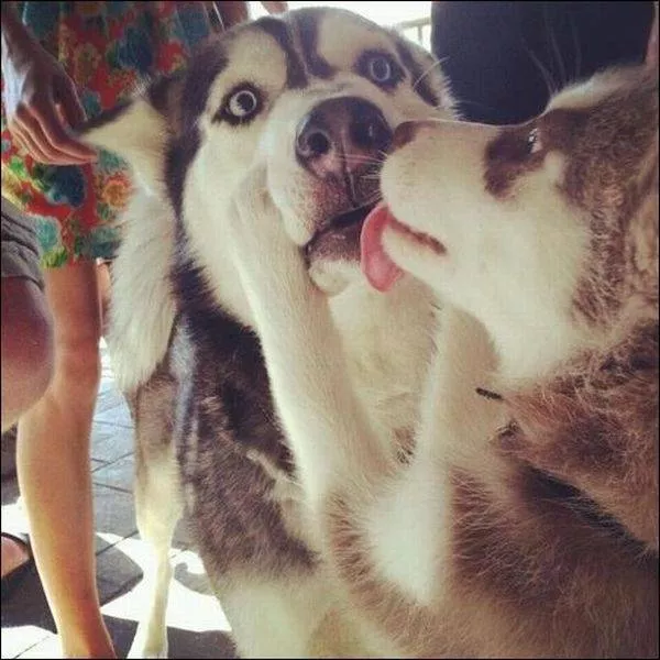 Picdump 22 - #24 