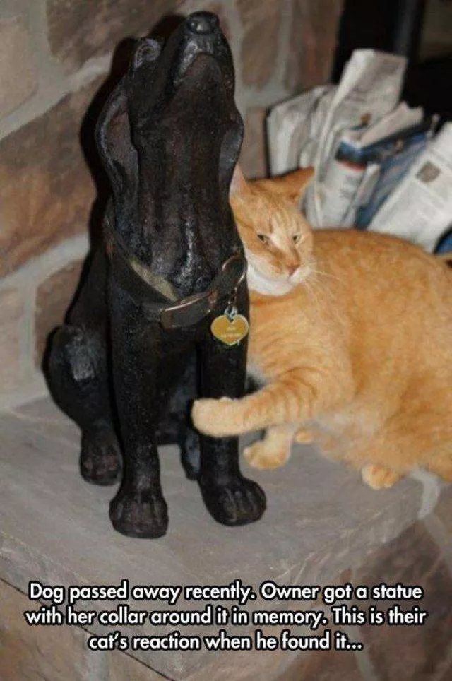 Picdump 22 - #27 