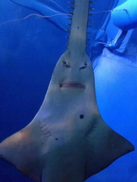 Picdump 22 - #28 