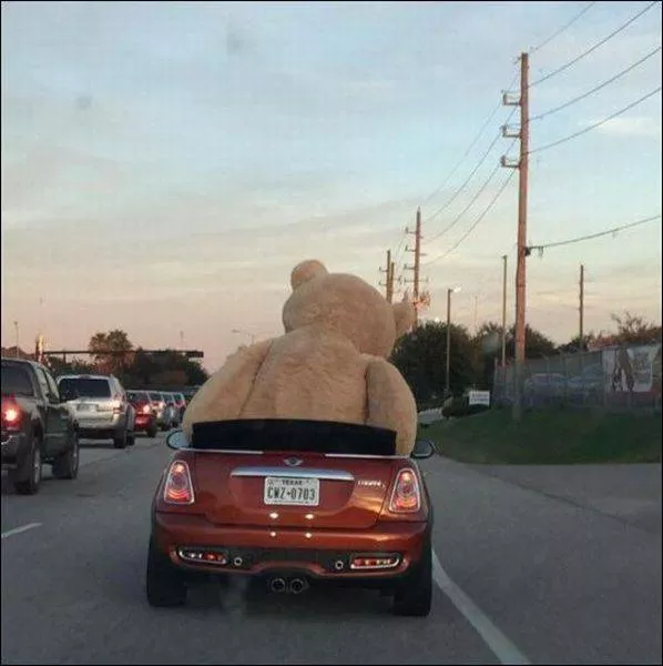 Picdump 22 - #30 