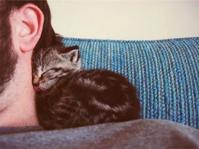 Picdump 22 - #46 