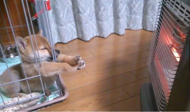 Picdump 22 - #53 