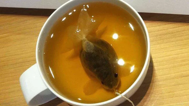 Picdump 22 - #55 