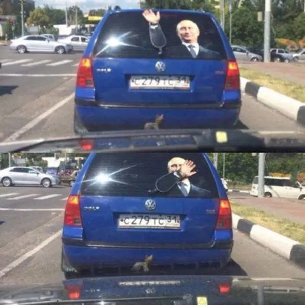Picdump 22 - #56 