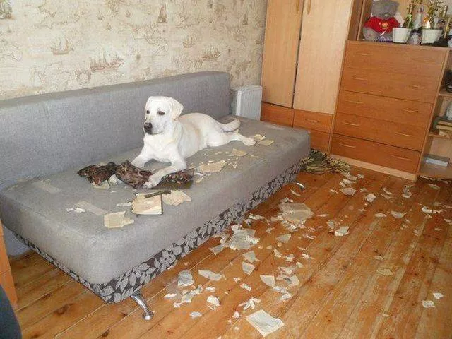 Picdump 159 - #30 