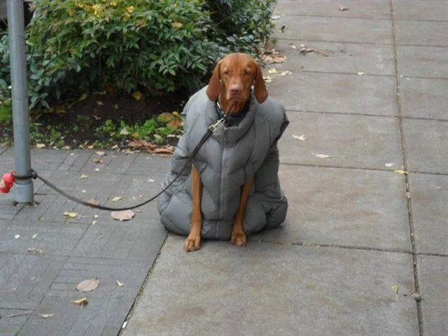 Picdump 159 - #34 