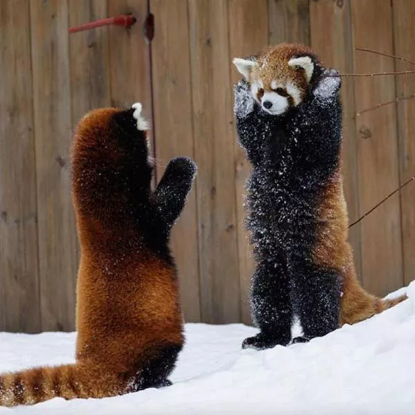 Picdump 159 - #36 