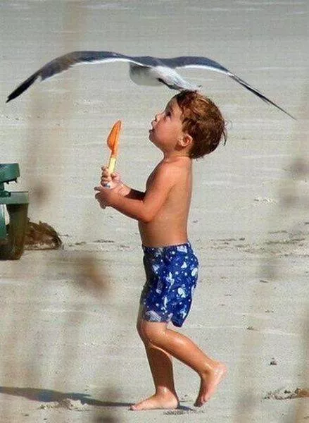 Picdump 159 - #49 