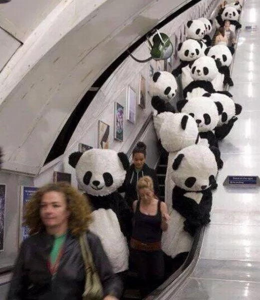 Picdump 159 - #54 