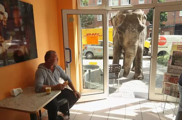 Picdump 159 - #57 