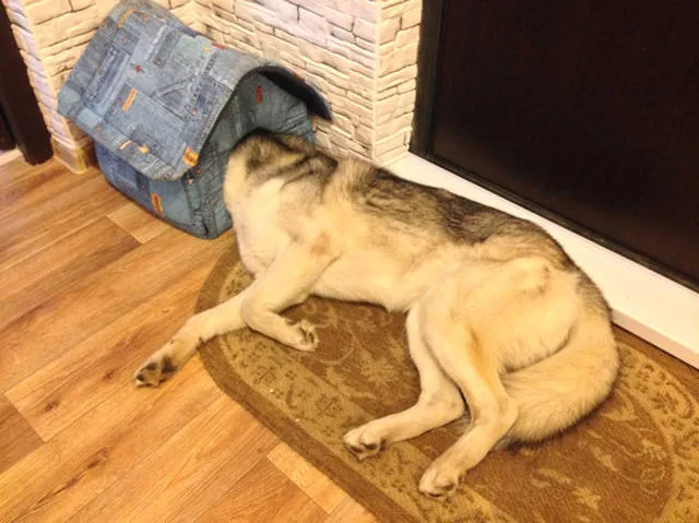 Picdump 159 - #79 