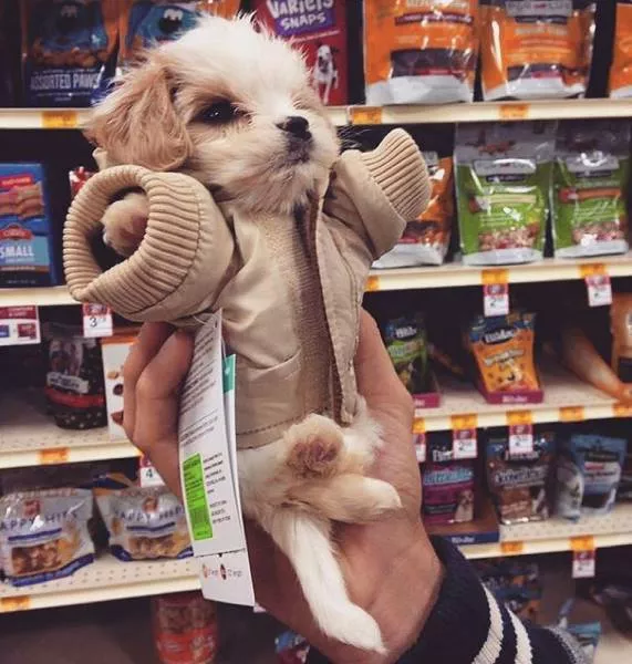 Picdump 160 - #20 