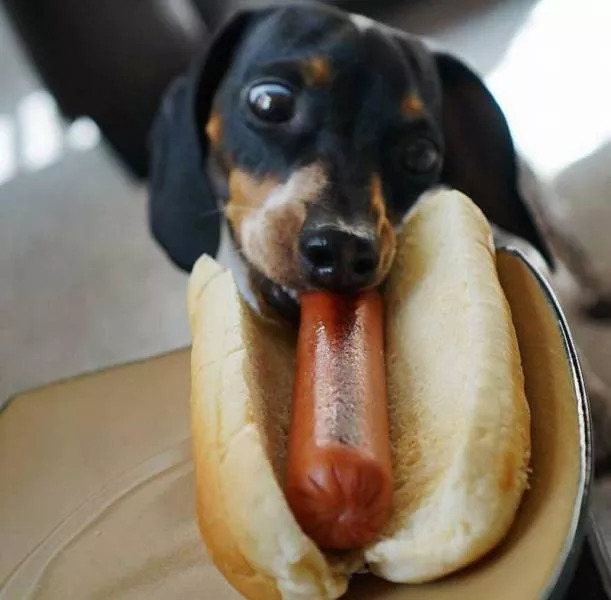 Picdump 160 - #23 