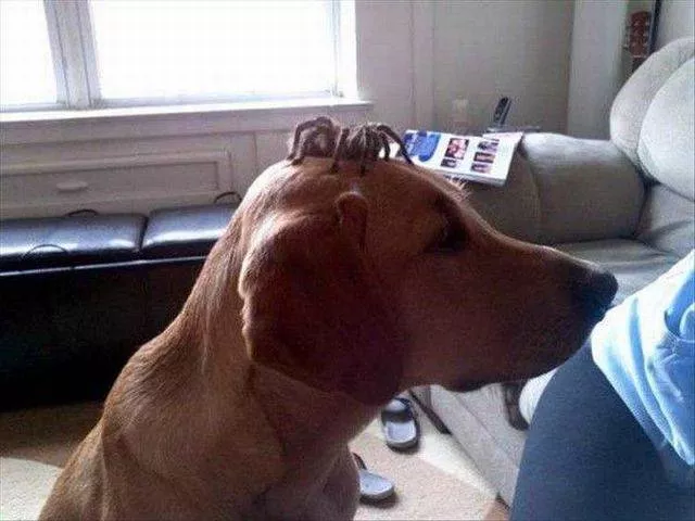 Picdump 160 - #29 