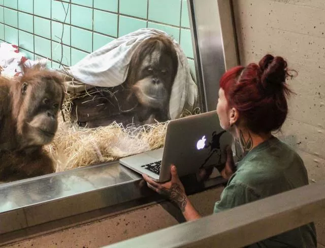Picdump 160 - #4 