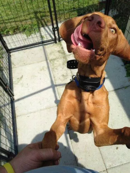 Picdump 160 - #59 