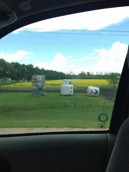 Picdump 160 - #65 
