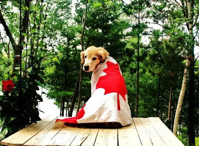 Bienvenue au canada paysages et particularites - #21 