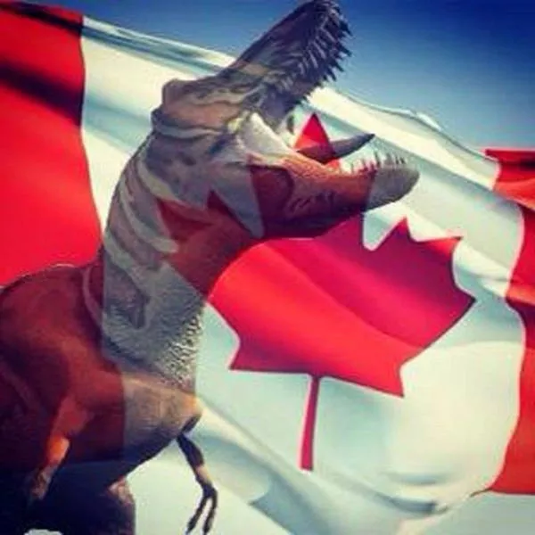 Welcome to canada landscapes and quirks - #25 