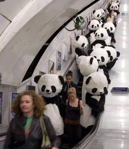 Weird things that only happen in japan - #20 