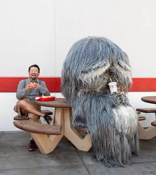 Weird things that only happen in japan - #36 