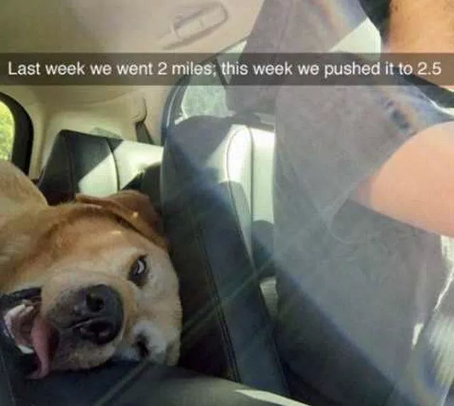 Picdump 161 - #14 