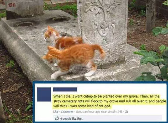 Picdump 161 - #15 