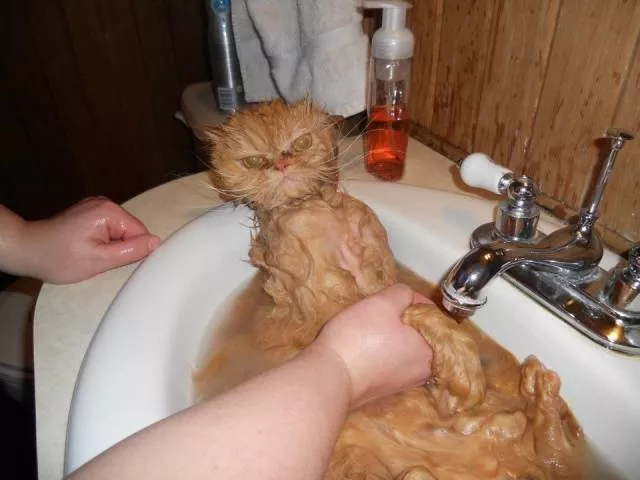 Picdump 161 - #37 