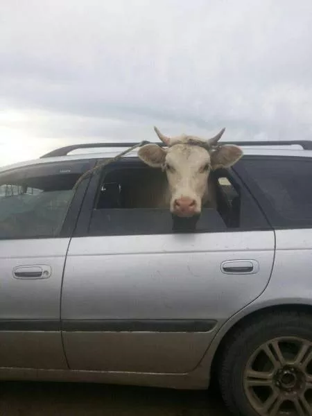 Picdump 161 - #41 