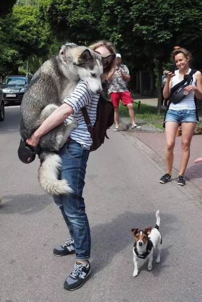 Picdump 161 - #43 